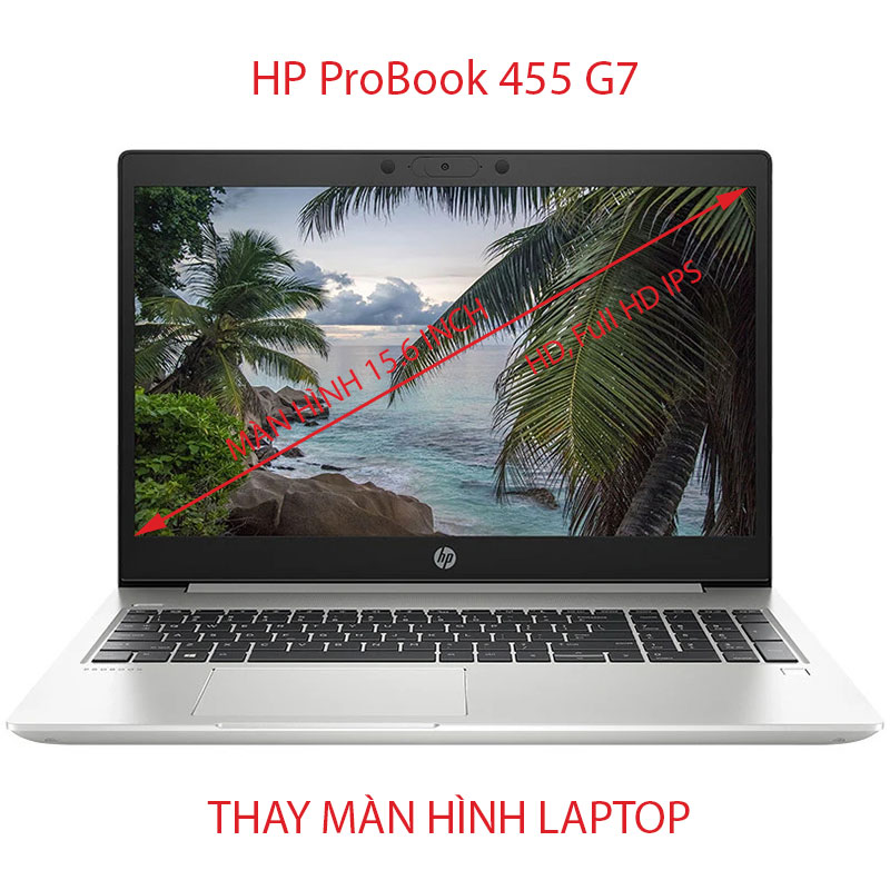 màn hình Laptop  HP ProBook 455 G7 HD, Full HD IPS