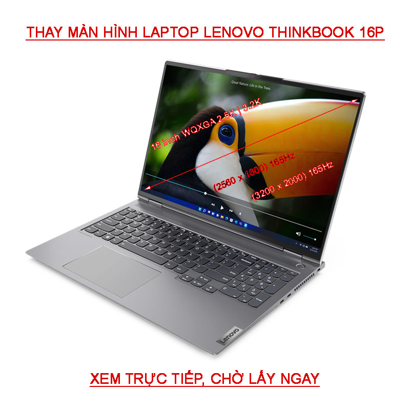 LCD màn hình Laptop Thinkbook 16P G4 IRH Gen 4 3.2K 165Hz