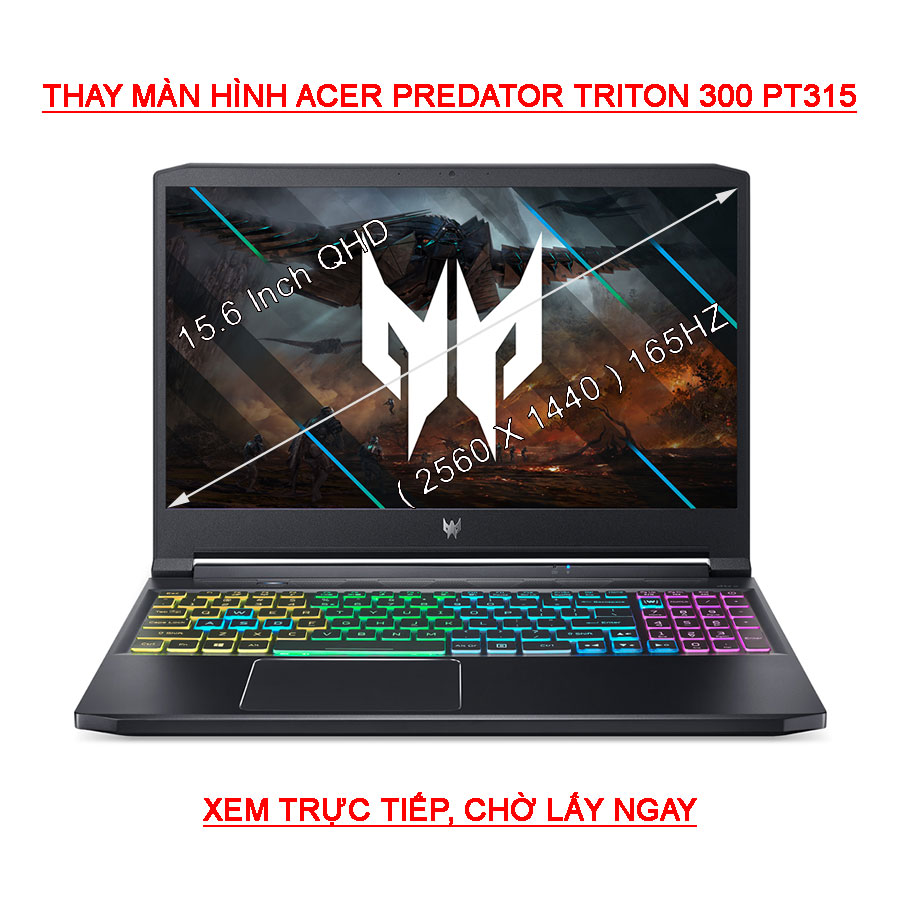 màn hình Laptop Acer Predator Triton 300 PT315-53 ( 75LQ 71DJ 7440 ) QHD 165Hz