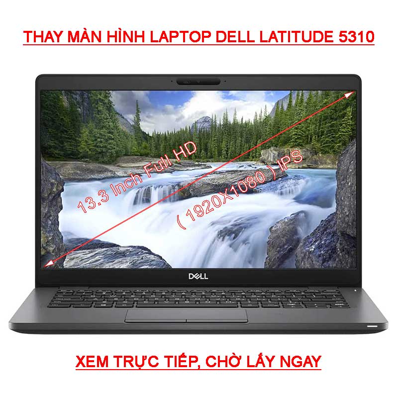 LCD Màn hình Laptop Dell Latitude 5310 13.3 Inch Full HD IPS