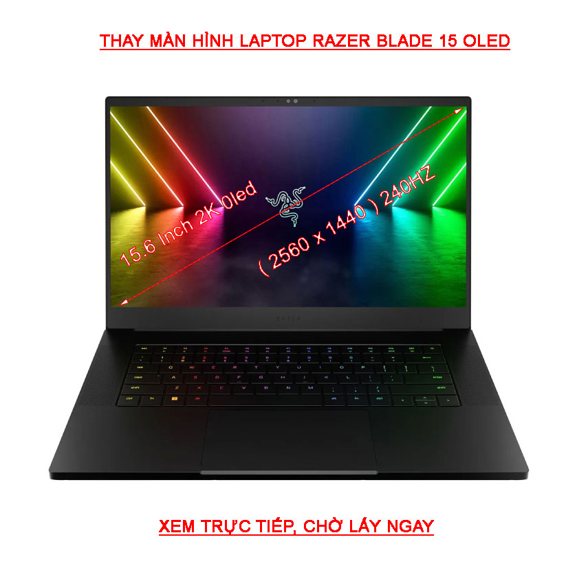 LCD màn hình Laptop Razer Blade 15 2022 2K ( 2560X1440 ) 240HZ Oled